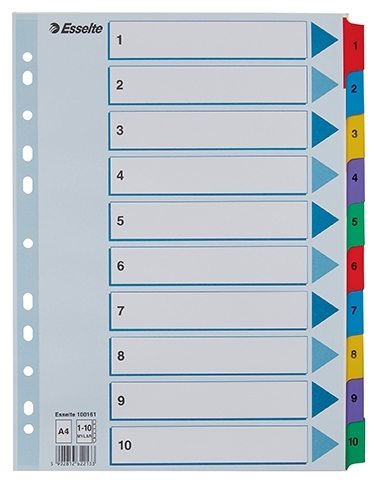 Esselte Registreren Mylar karton A4 1-10