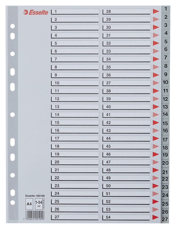 Esselte Register PP A4 1-54 grijs