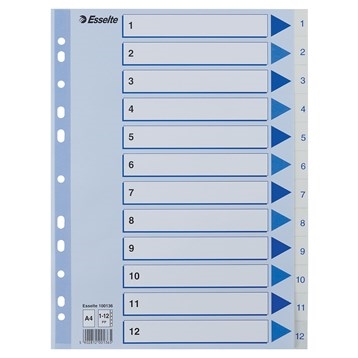 Esselte Register PP A4 1-12 wit