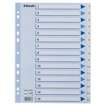 Esselte Register PP A4 1-15 wit